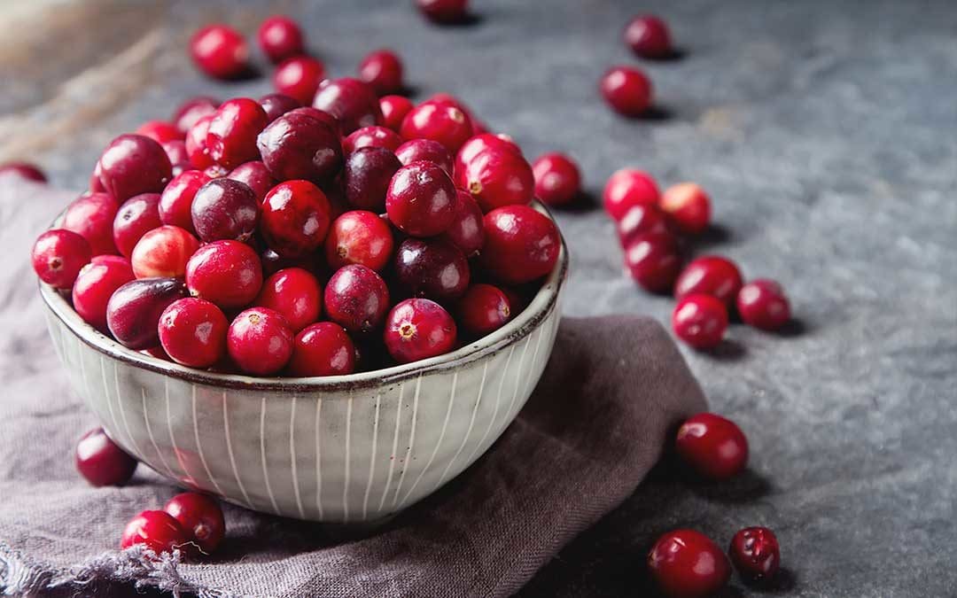 Bowl of cranberries