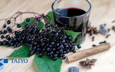 Taiyo’s partnership with NutriScience gives food and beverage formulators to take greater advantage of elderberry’s skyrocketing popularity
