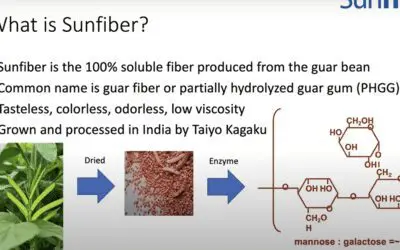 Get to know Sunfiber, a Unique Soluble Prebiotic